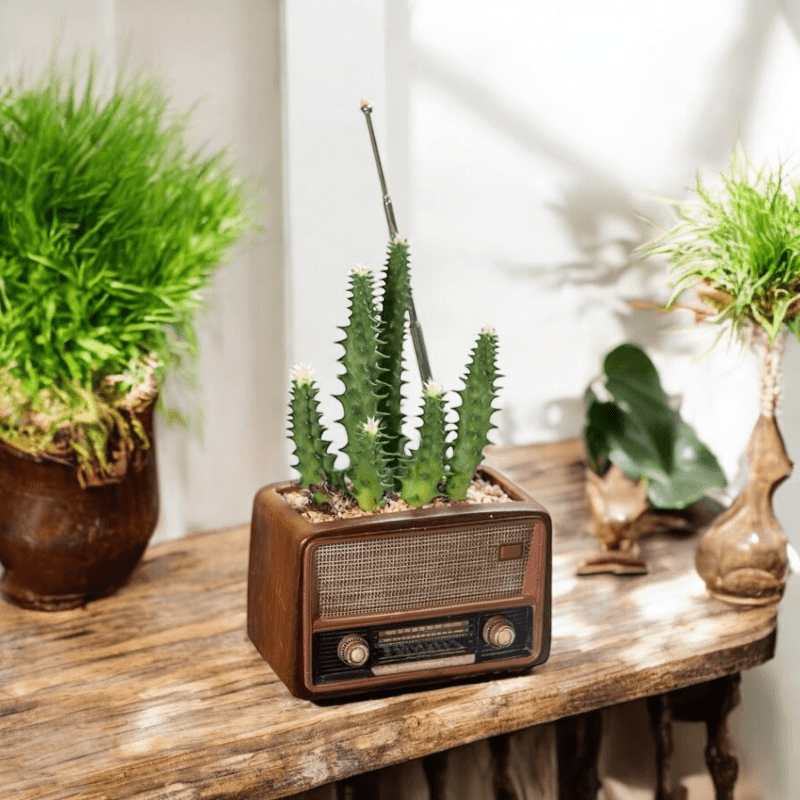 Planter Pot Radio Music Cassette Computer Retro Vintage - The Renmy Store Homewares & Gifts 