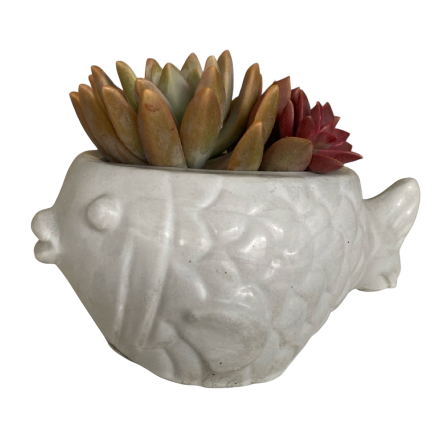 Planter Pot Fish Aussie Handmade Concrete
