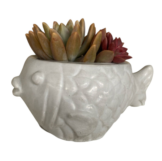 Planter Pot Fish Aussie Handmade Concrete
