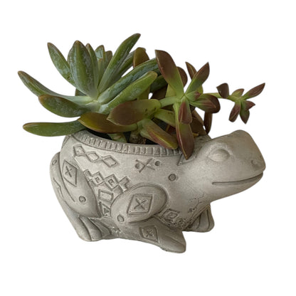 Planter Pot Frog Aussie Handmade Concrete