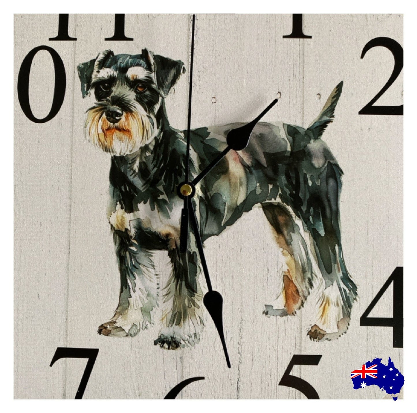 Clock Wall Dog Schnauzer 30cm 60cm Aussie Made