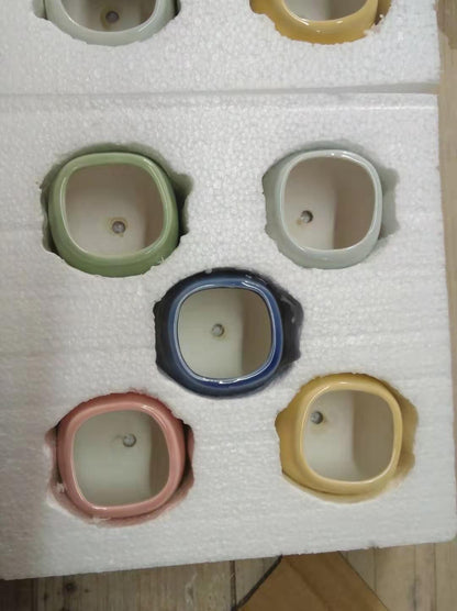 Planter Pot Set of 5 Succulent Cactus Garden