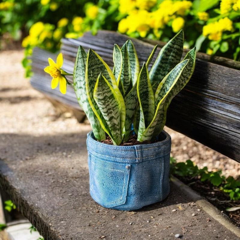 Planter Pot Jeans Rustic Denim Garden - The Renmy Store Homewares & Gifts 