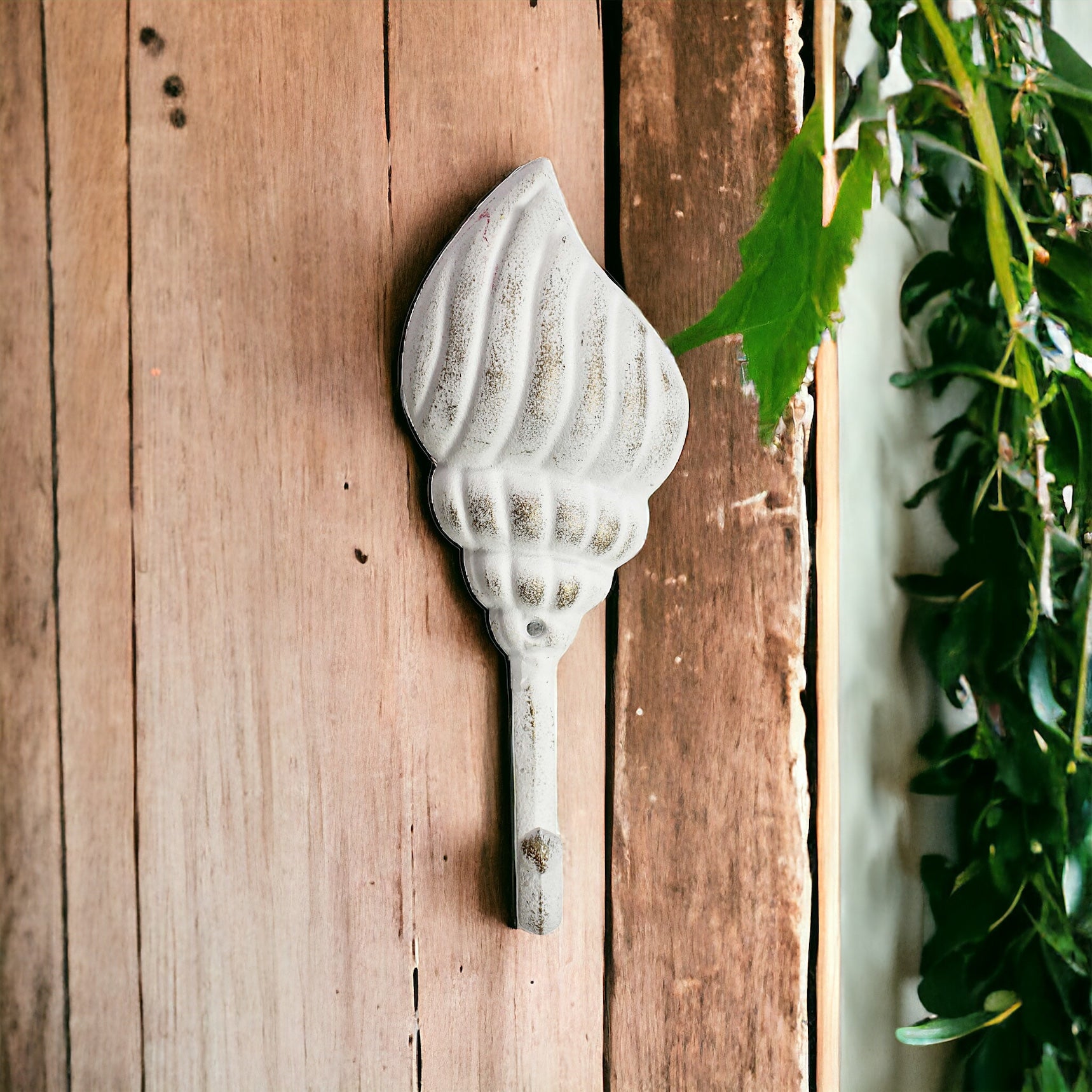 Hook Shell White Beach House - The Renmy Store Homewares & Gifts 