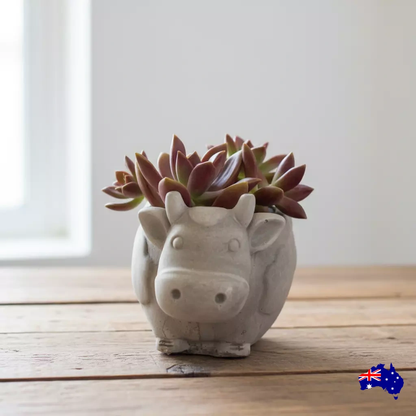 Daisy the Cow Planter Pot | Handmade Concrete Farmhouse Aussie Made Decor