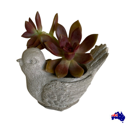Planter Pot Little Bird Aussie Handmade Concrete