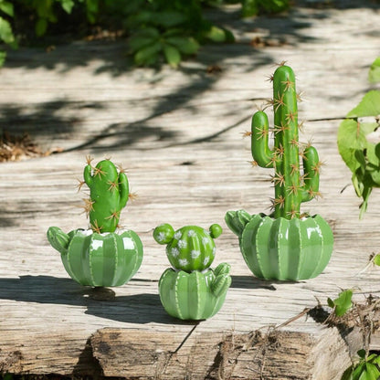 Pot Planter Cactus Garden - The Renmy Store Homewares & Gifts 