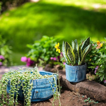 Planter Pot Jeans Rustic Denim Garden - The Renmy Store Homewares & Gifts 