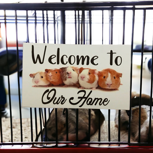 Welcome Home Guinea Pig Sign - The Renmy Store Homewares & Gifts 