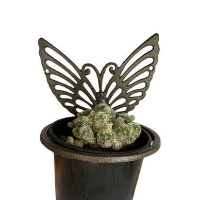 Planter Pot Wall Stand Butterfly Rustic Iron - The Renmy Store Homewares & Gifts 