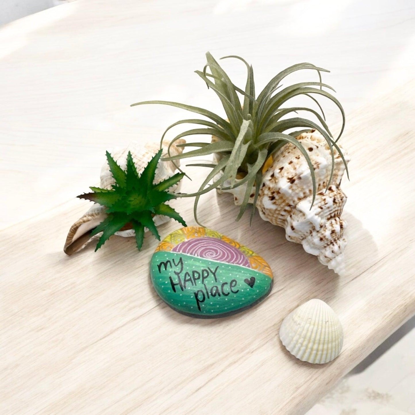 Air Plant Succulent Shell Happy Place Rock Gift - The Renmy Store Homewares & Gifts 