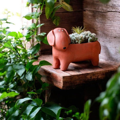 Planter Pot Super Dog Garden - The Renmy Store Homewares & Gifts 