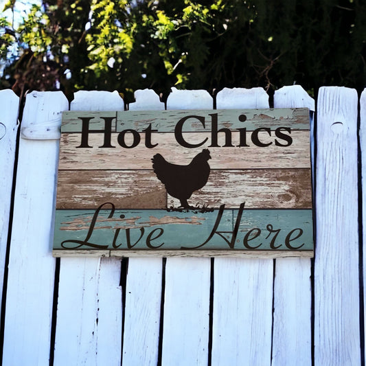 Chicken Hot Chics Live Here Blue Sign - The Renmy Store Homewares & Gifts 