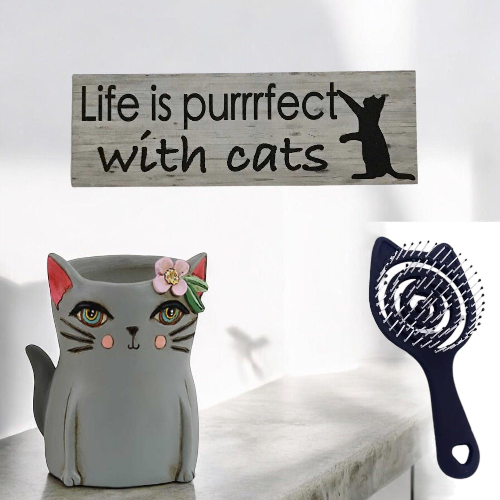 Cat Lover Planter Brush Life Is Perfect Cats Sign Gift Set - The Renmy Store Homewares & Gifts 