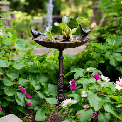 Rustic Bird Bath Feeder Heavy Cast Iron Garden