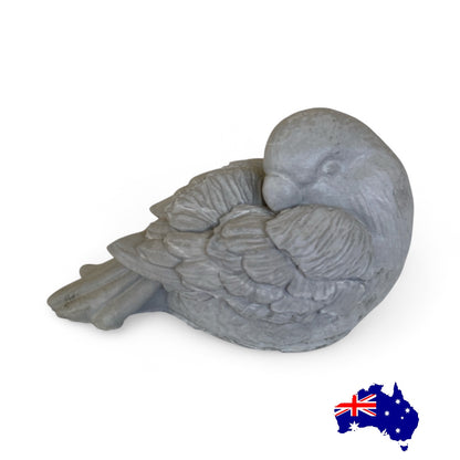 Bird Love Parrot Aussie Handmade Concrete