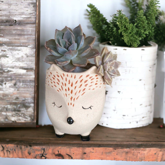 Plant Pot Planter Hedgehog Harold - The Renmy Store Homewares & Gifts 