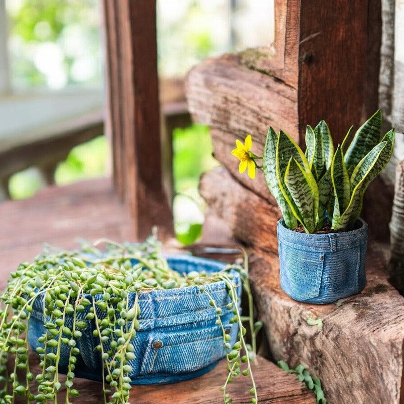 Planter Pot Jeans Rustic Denim Garden - The Renmy Store Homewares & Gifts 