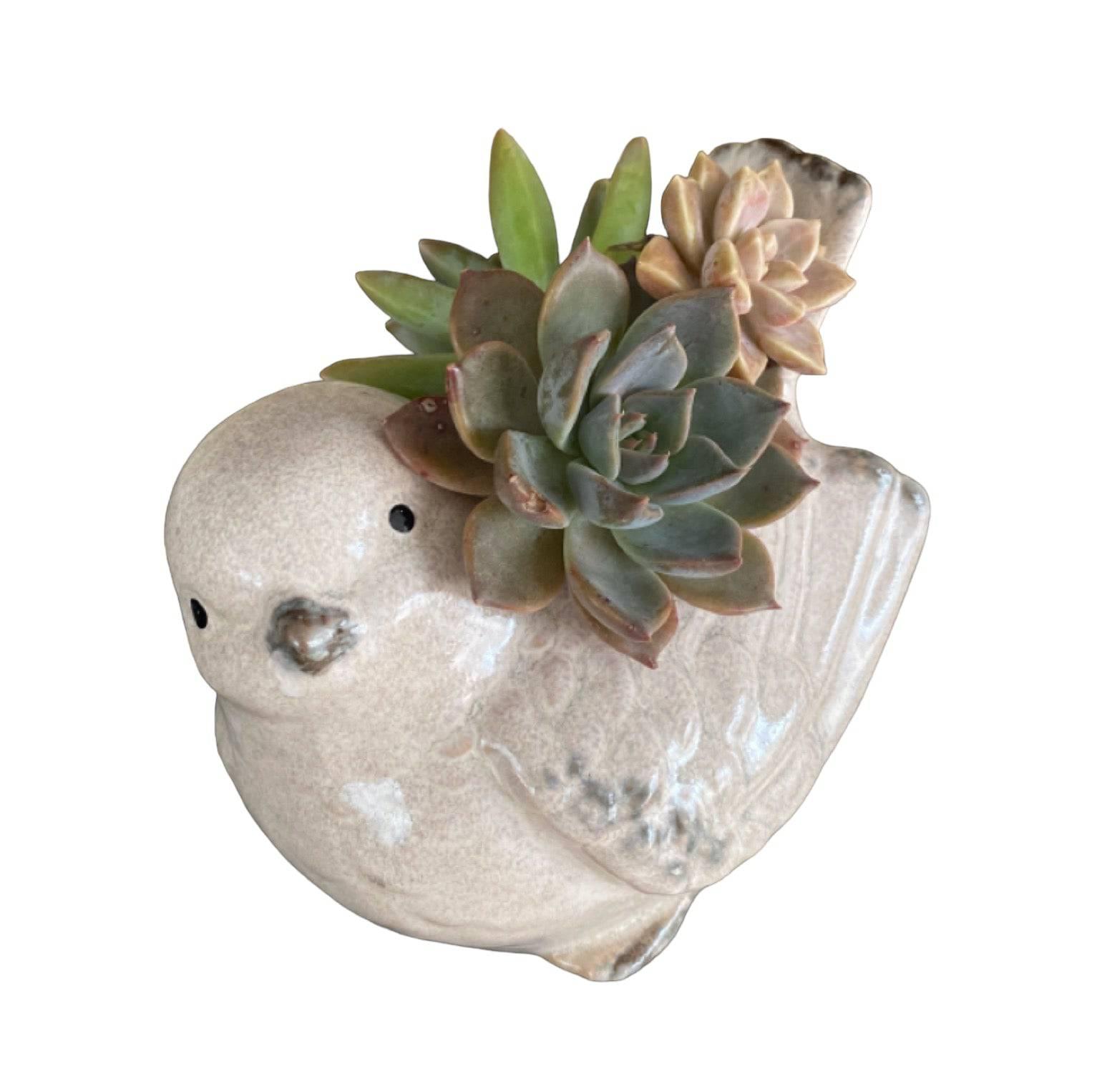 Plant Pot Planter Bird Natural - The Renmy Store Homewares & Gifts 