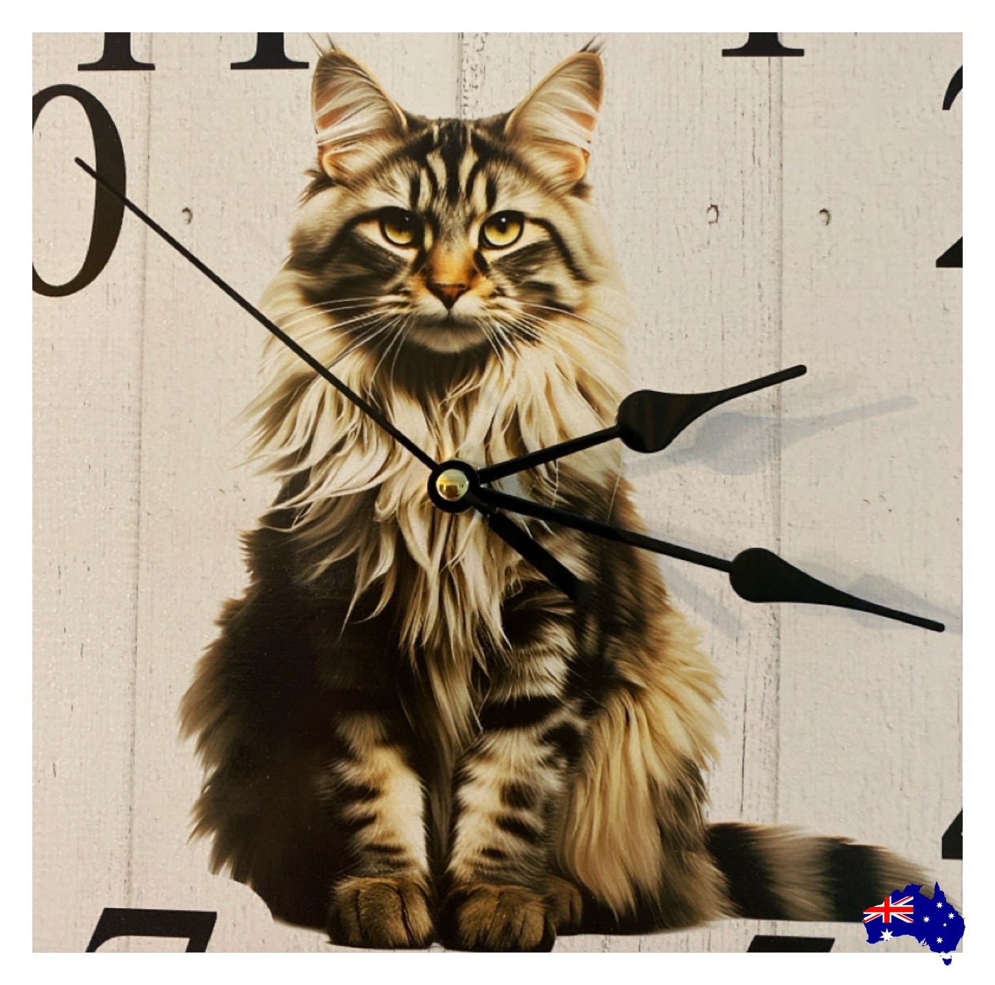 Clock Wall Cat Maine Coon 30cm 60cm Aussie Made