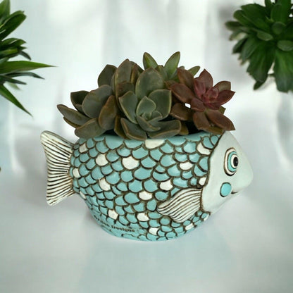 Fish Blue Funky Pot Planter Plant Small - The Renmy Store Homewares & Gifts 