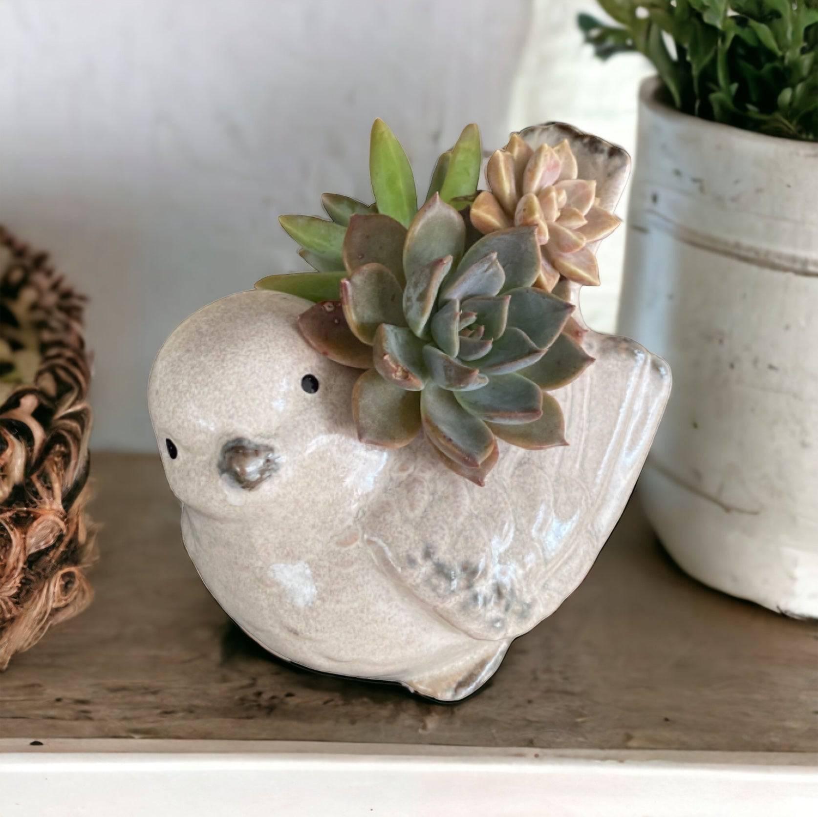 Plant Pot Planter Bird Natural - The Renmy Store Homewares & Gifts 