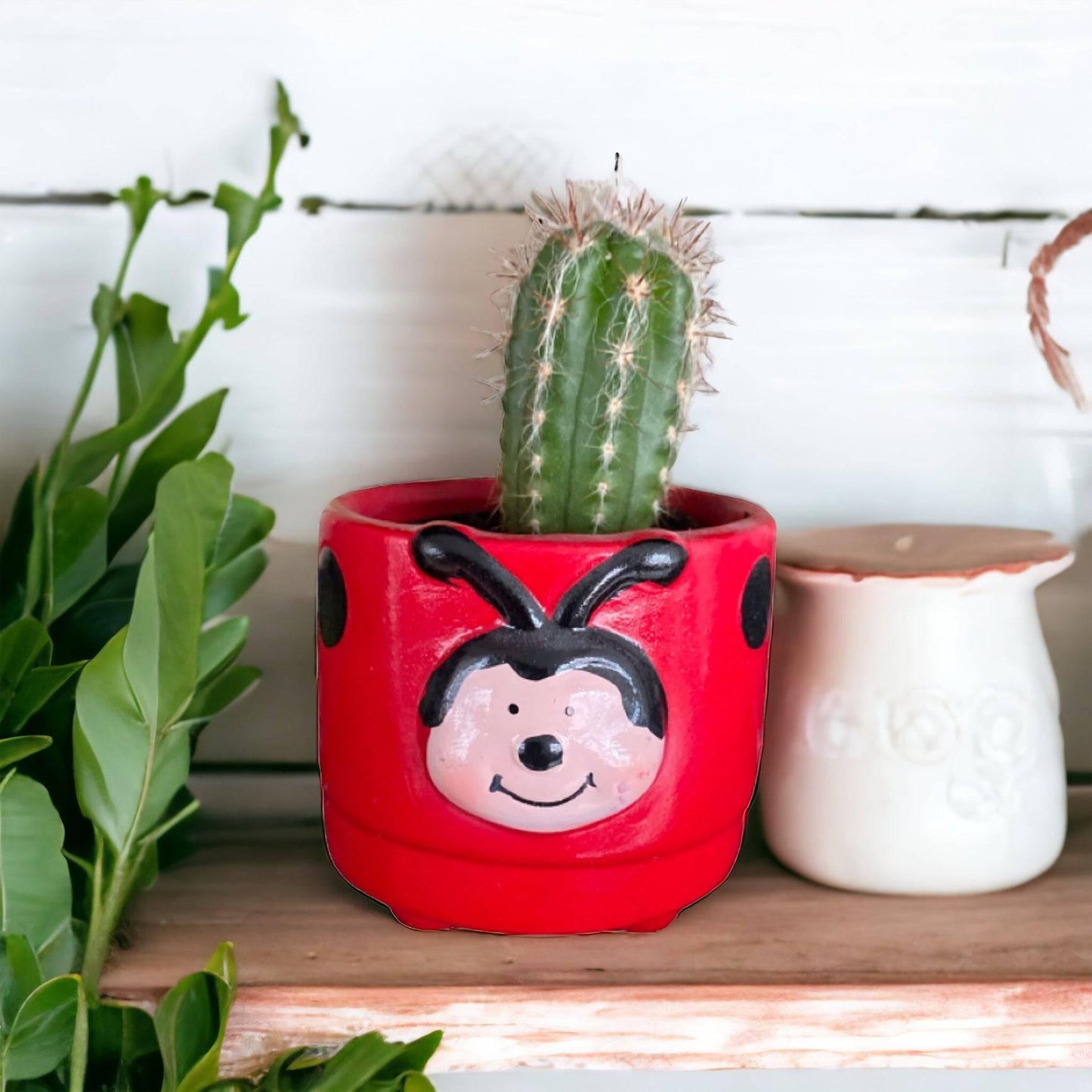 Plant Pot Planter Ladybird Beetle - The Renmy Store Homewares & Gifts 