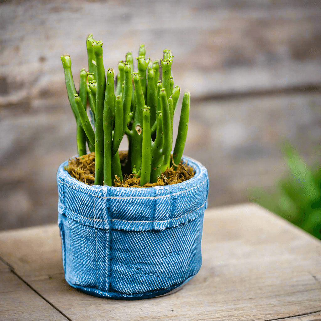 Planter Pot Jeans Rustic Denim Garden - The Renmy Store Homewares & Gifts 