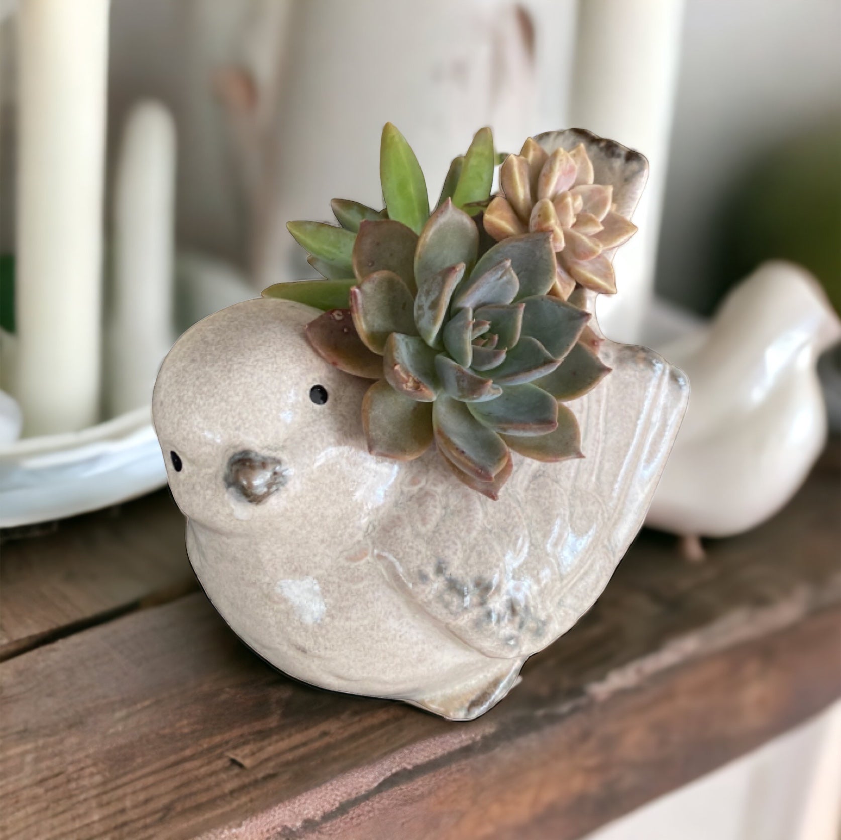 Plant Pot Planter Bird Natural - The Renmy Store Homewares & Gifts 