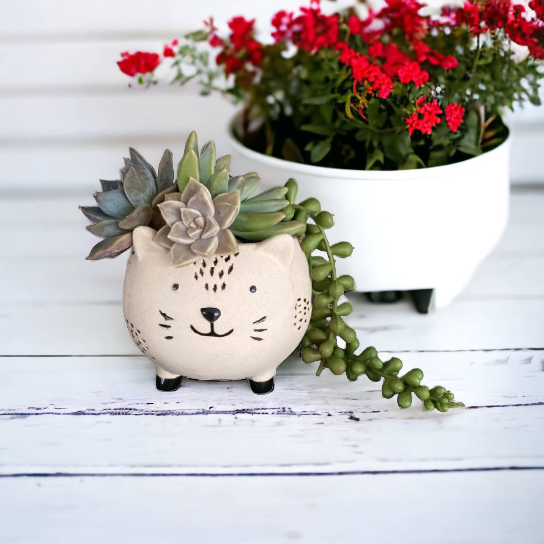 Plant Pot Planter Set of 6 Animals - The Renmy Store Homewares & Gifts 