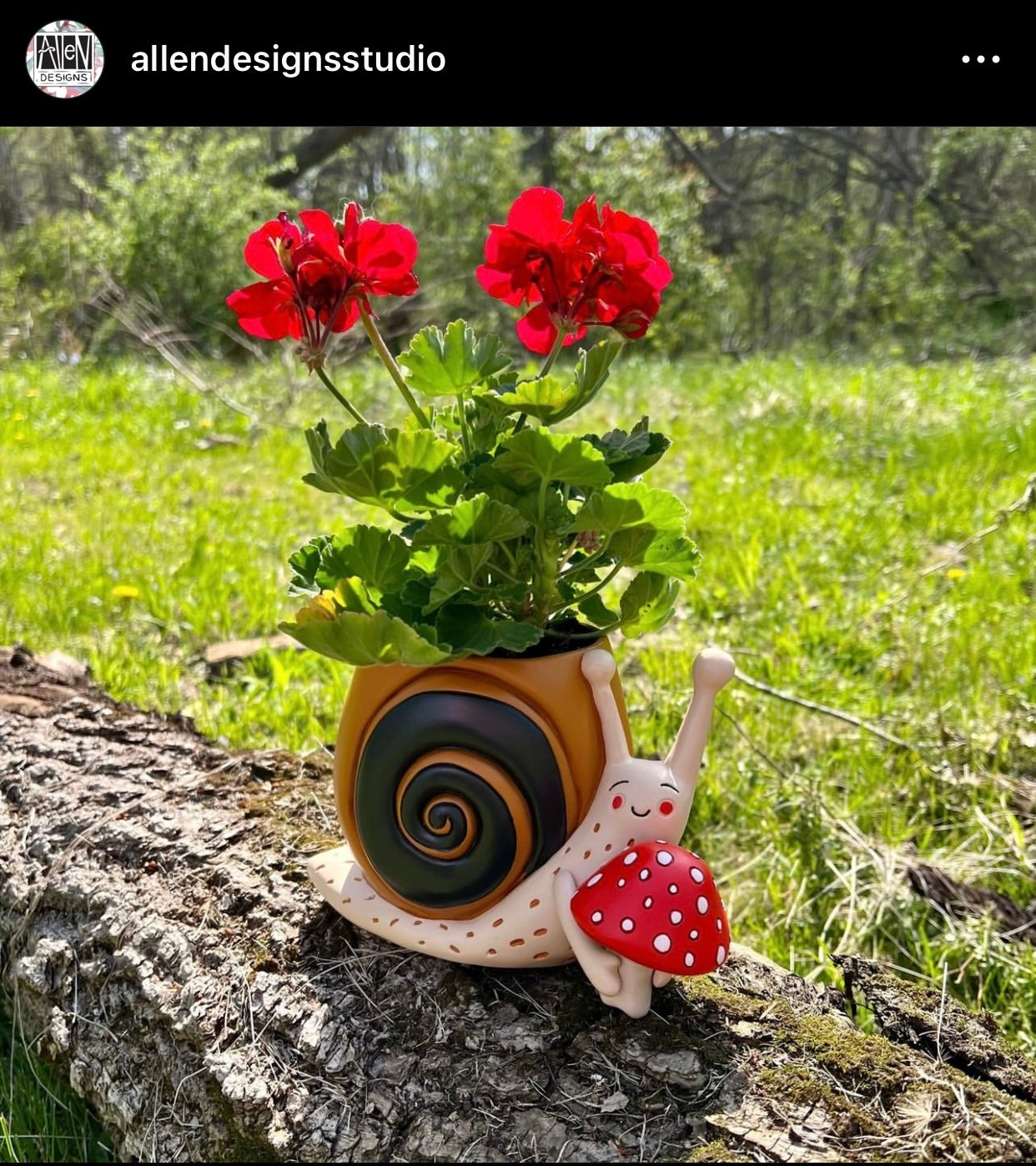 Snail Mushroom Pot Plant Planter Garden - The Renmy Store Homewares & Gifts 