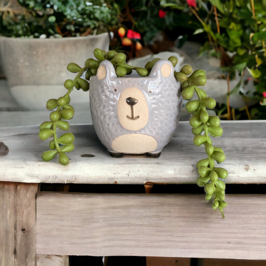 Plant Pot Planter Woodland Bear - The Renmy Store Homewares & Gifts 