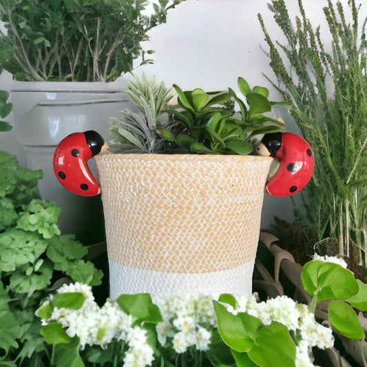 Ladybeetle Pot Sitter Hanger Planter x 2