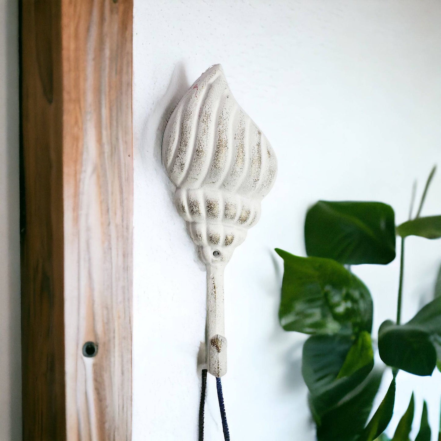 Hook Shell White Beach House - The Renmy Store Homewares & Gifts 