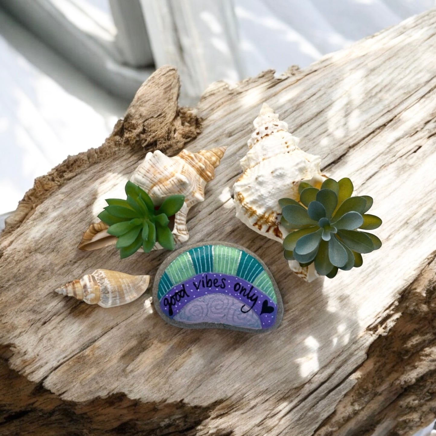 Succulent Shell Good Vibes Rock Gift