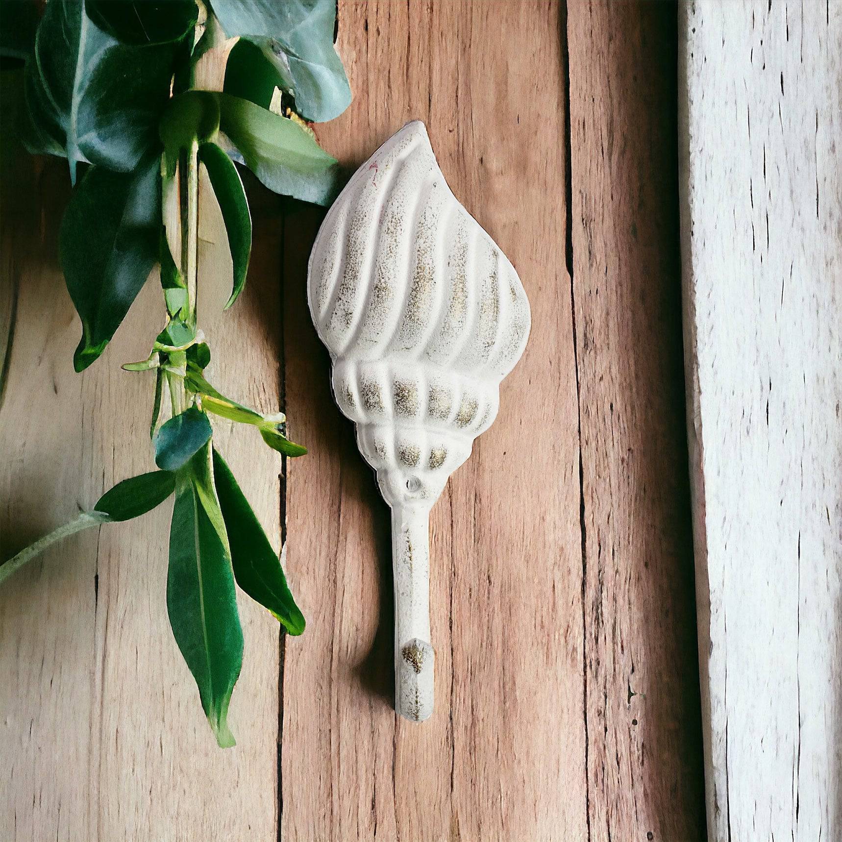 Hook Shell White Beach House - The Renmy Store Homewares & Gifts 