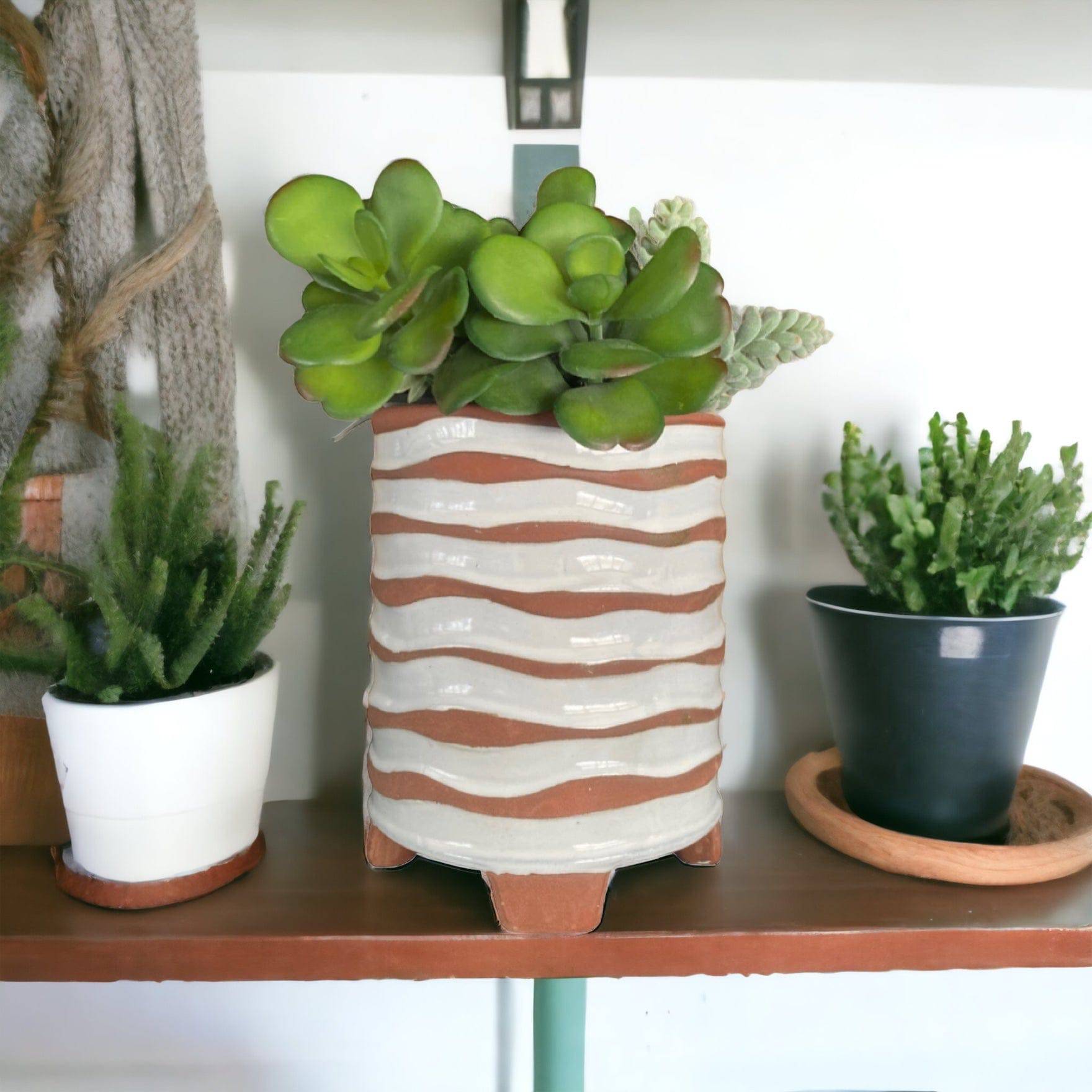 Geo Lines Plant Pot - The Renmy Store Homewares & Gifts 