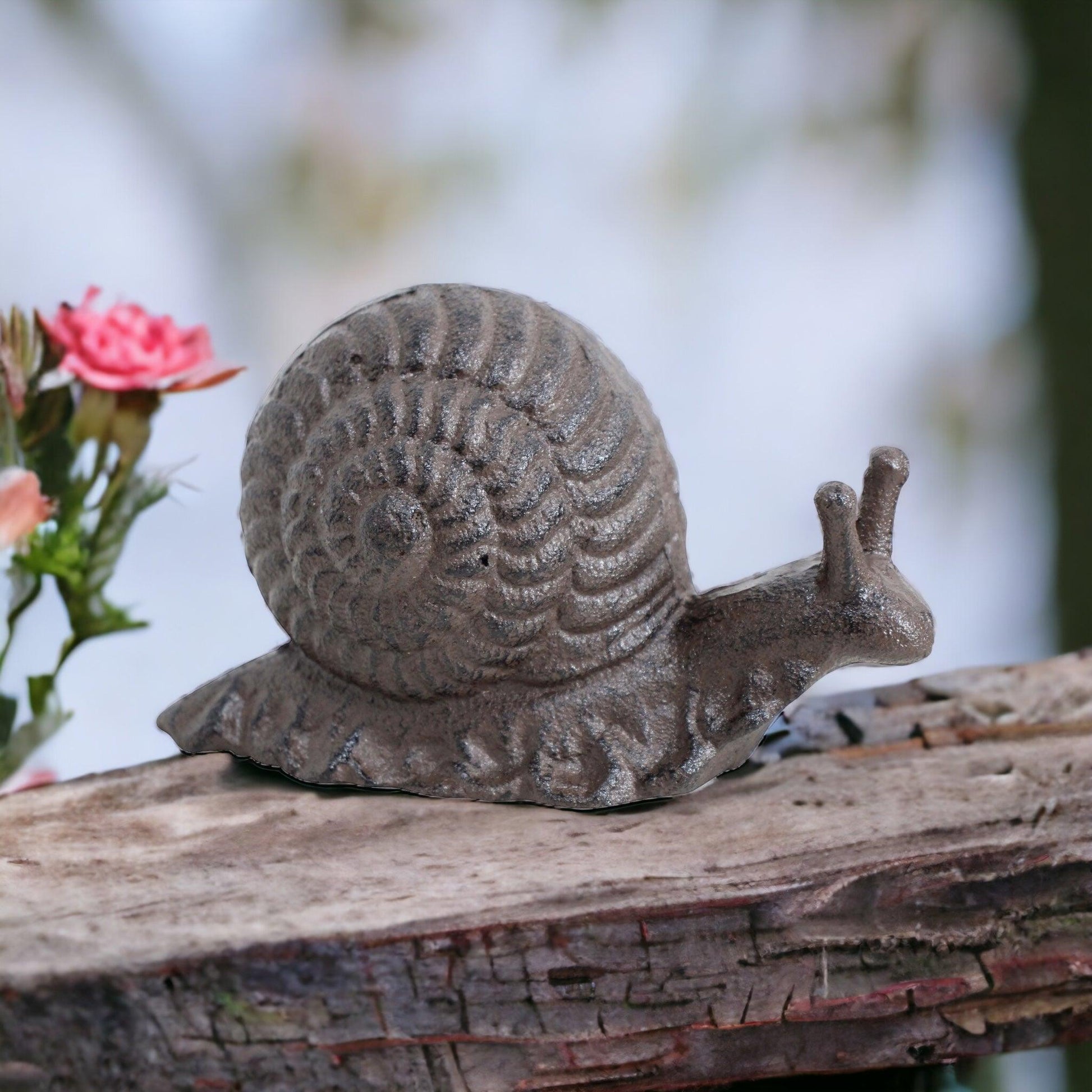 Snail Cast Iron Ornament - The Renmy Store Homewares & Gifts 