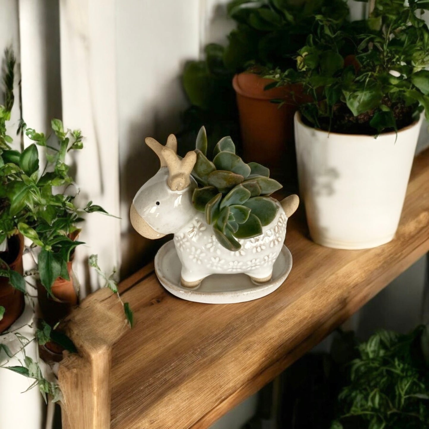 Deer Rustic White Pot Planter Succulent