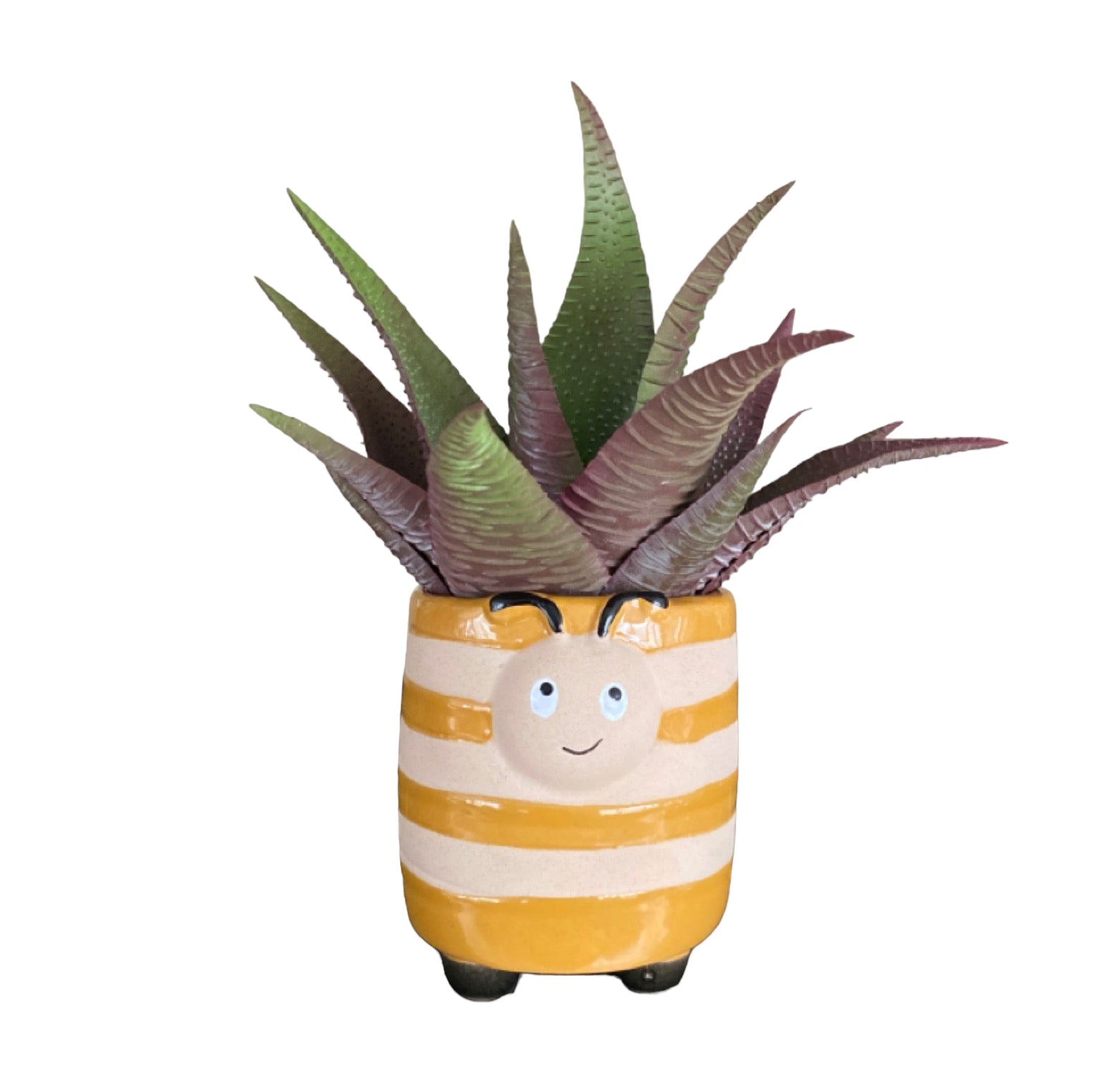 Plant Pot Planter Honey Bee - The Renmy Store Homewares & Gifts 