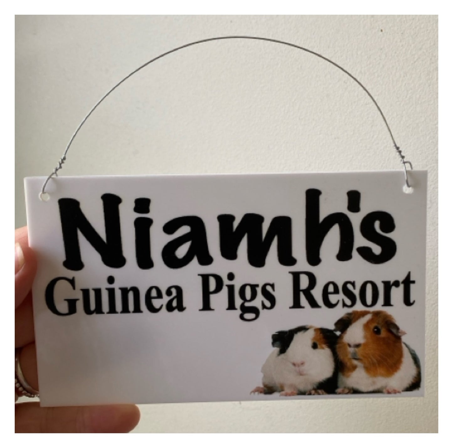 Guinea Pig House Custom Persoanlised Sign - The Renmy Store Homewares & Gifts 