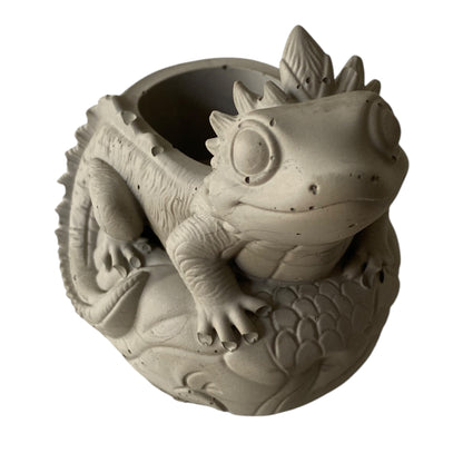Lizard Planter Pot | Handmade Concrete Succulent Planter | Aussie Made