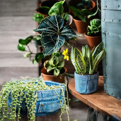 Planter Pot Jeans Rustic Denim Garden - The Renmy Store Homewares & Gifts 