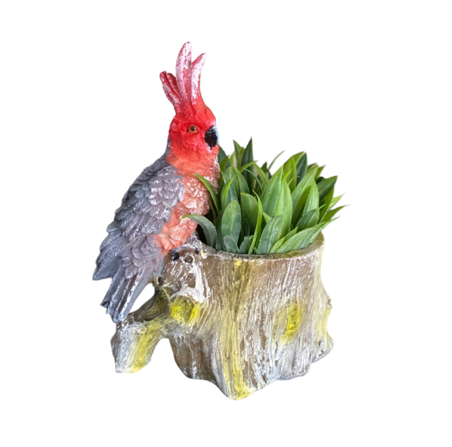 Plant Pot Planter Parrot