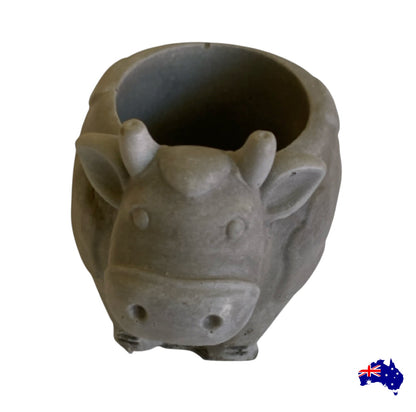 Daisy the Cow Planter Pot | Handmade Concrete Farmhouse Aussie Made Decor