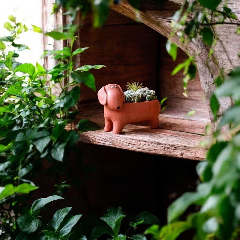 Planter Pot Super Dog Garden - The Renmy Store Homewares & Gifts 