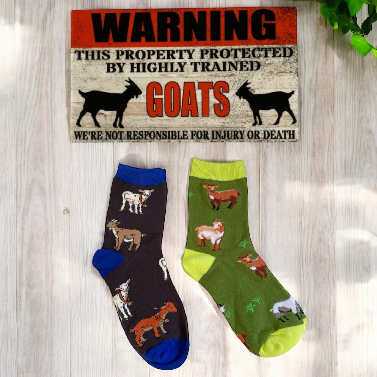 Goat Lover Two Socks and Warning Goat Sign Gift Set