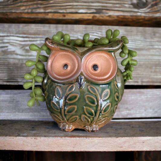 Plant Pot Planter Owl Green - The Renmy Store Homewares & Gifts 