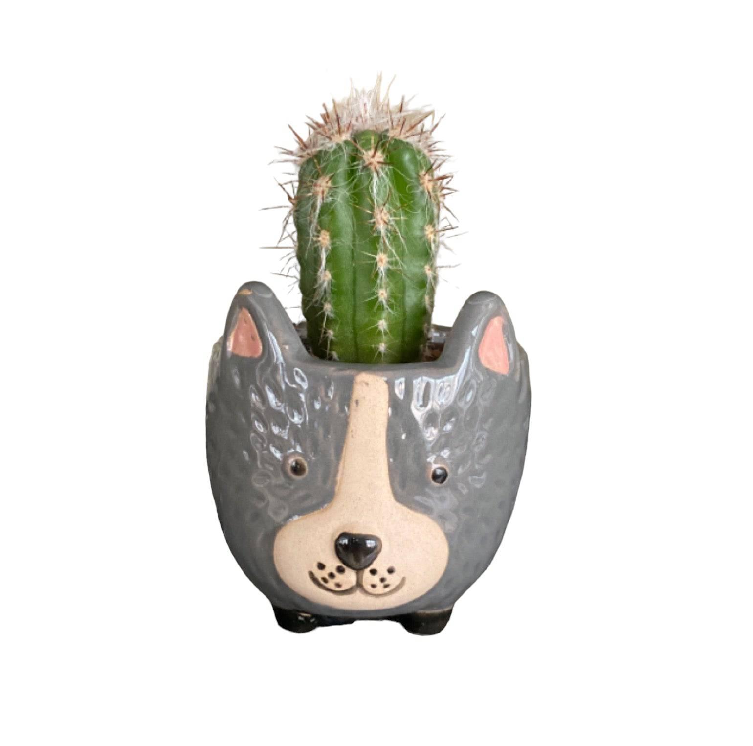 Plant Pot Planter Dog Rufus - The Renmy Store Homewares & Gifts 