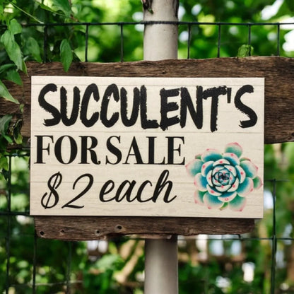 succulents for sale sign Succulents For Sale Personalised Custom Sign